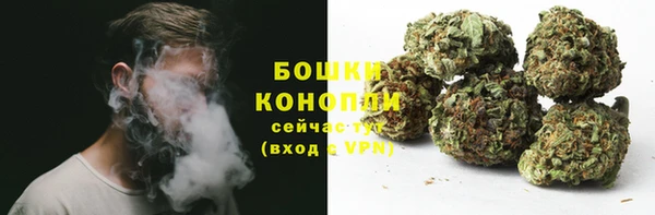 хмурый Бородино