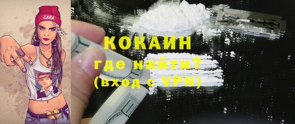 хмурый Бородино