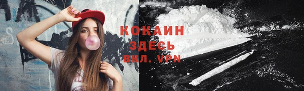 кокс Белокуриха