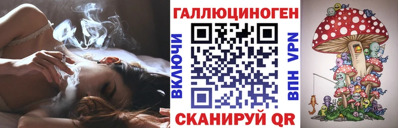 купить наркотики сайты  blacksprut как войти  Галлюциногенные грибы Psilocybine cubensis  Короча 
